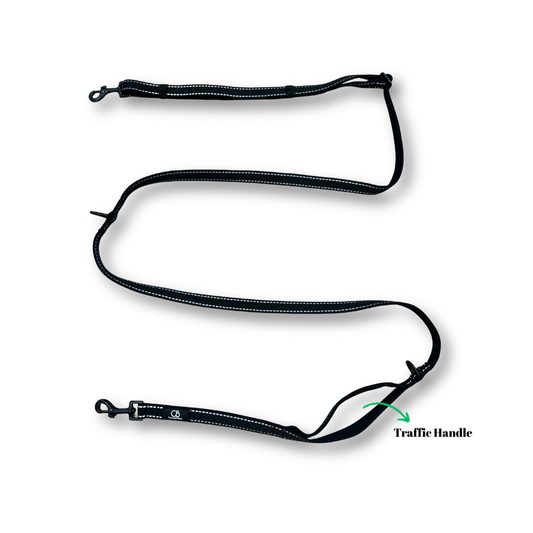 Brighton Multiway Handsfree Leash with Reflective Stitch in Black