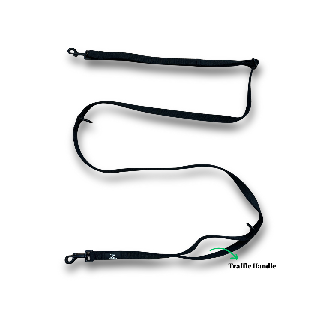 Brighton Multiway Handsfree Leash in Solid Black