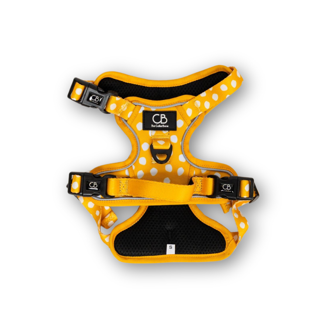 Oxford Active No-Pull Harness in Mustard & Mayo