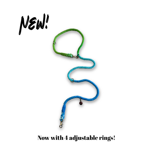 Knotty Multiway Handsfree Training Rope Leash in Ombre Blue Green
