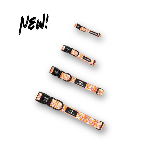 Halston Adjustable Pet Collar in Metamorphosis