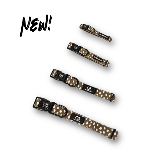 Halston Adjustable Pet Collar in Almonds in Olive