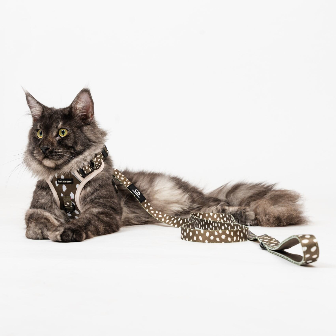 Classic Leash in Almonds in Olive