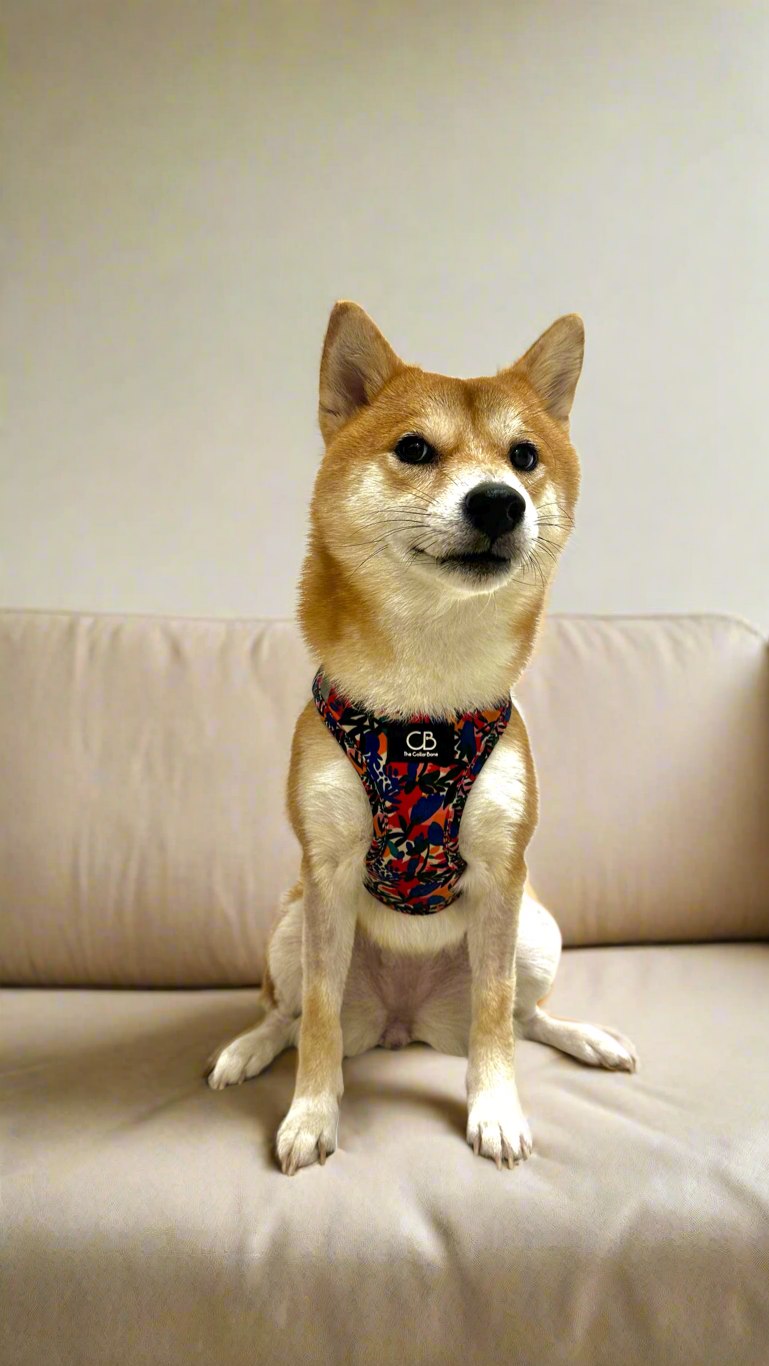 Teeny Step-In Vest/Harness in Mirage