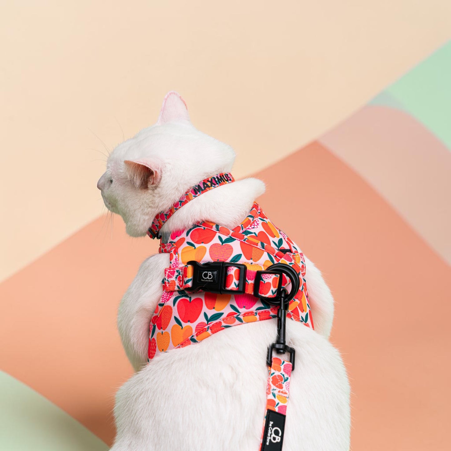 Catté Elastic Collar in Apple of My Eye