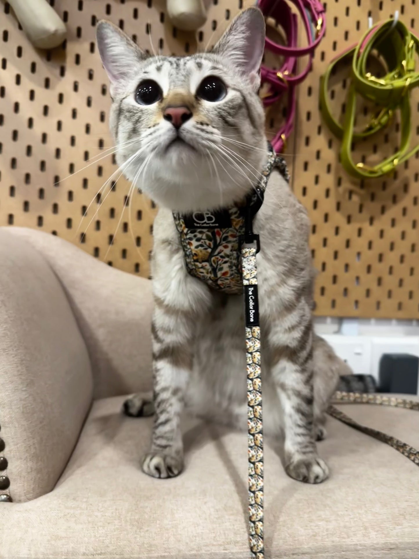 Teeny Step-In Vest/Harness in Sluggish Sloth