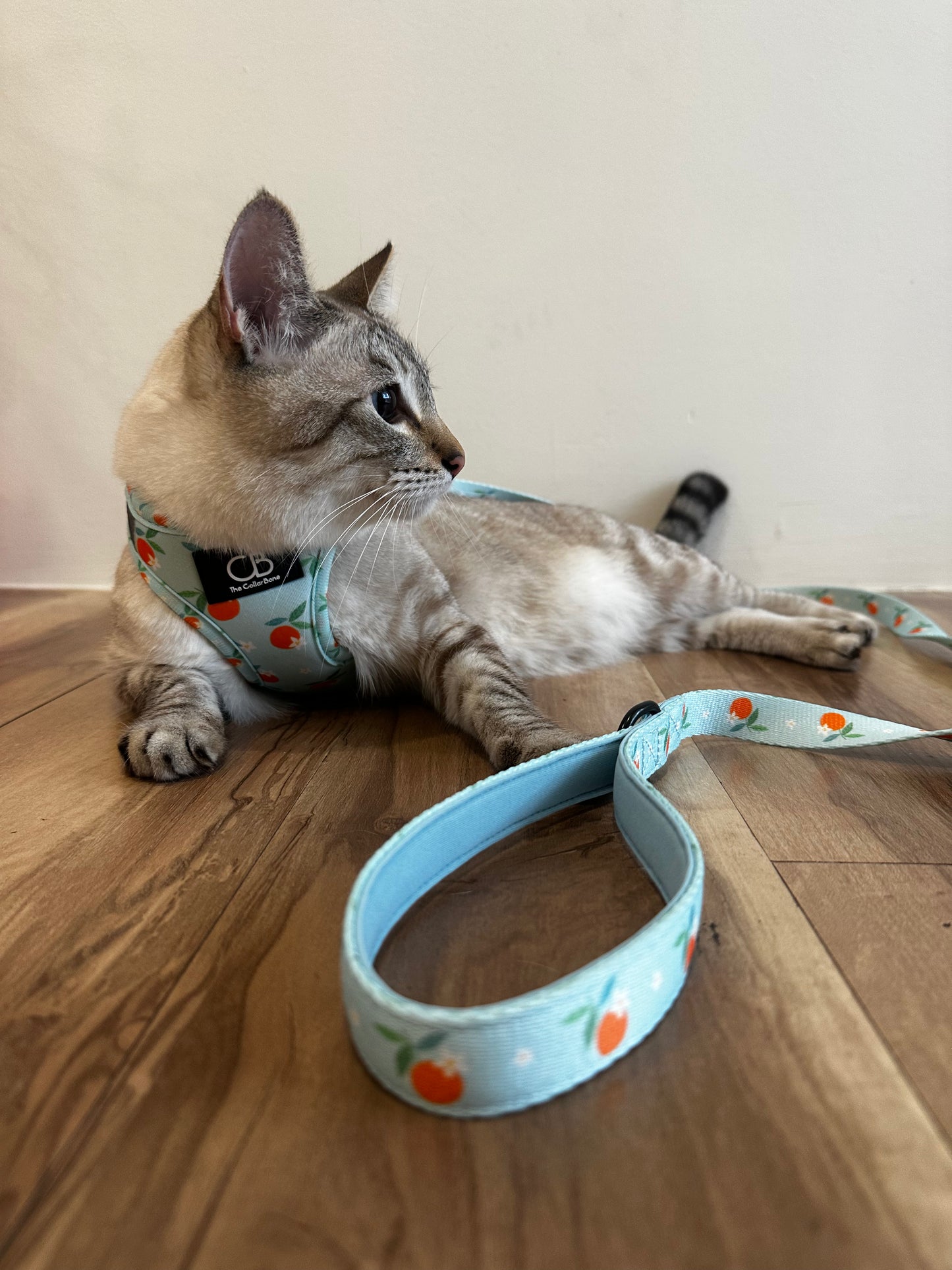 Teeny Step-In Vest/Harness in Clementine Crush