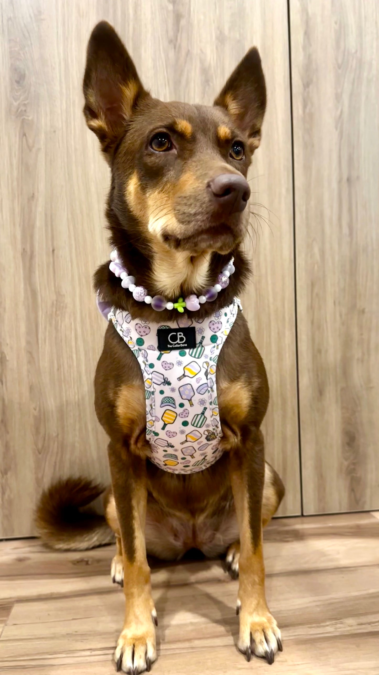 Teeny Step-In Vest/Harness in Pickleball Party