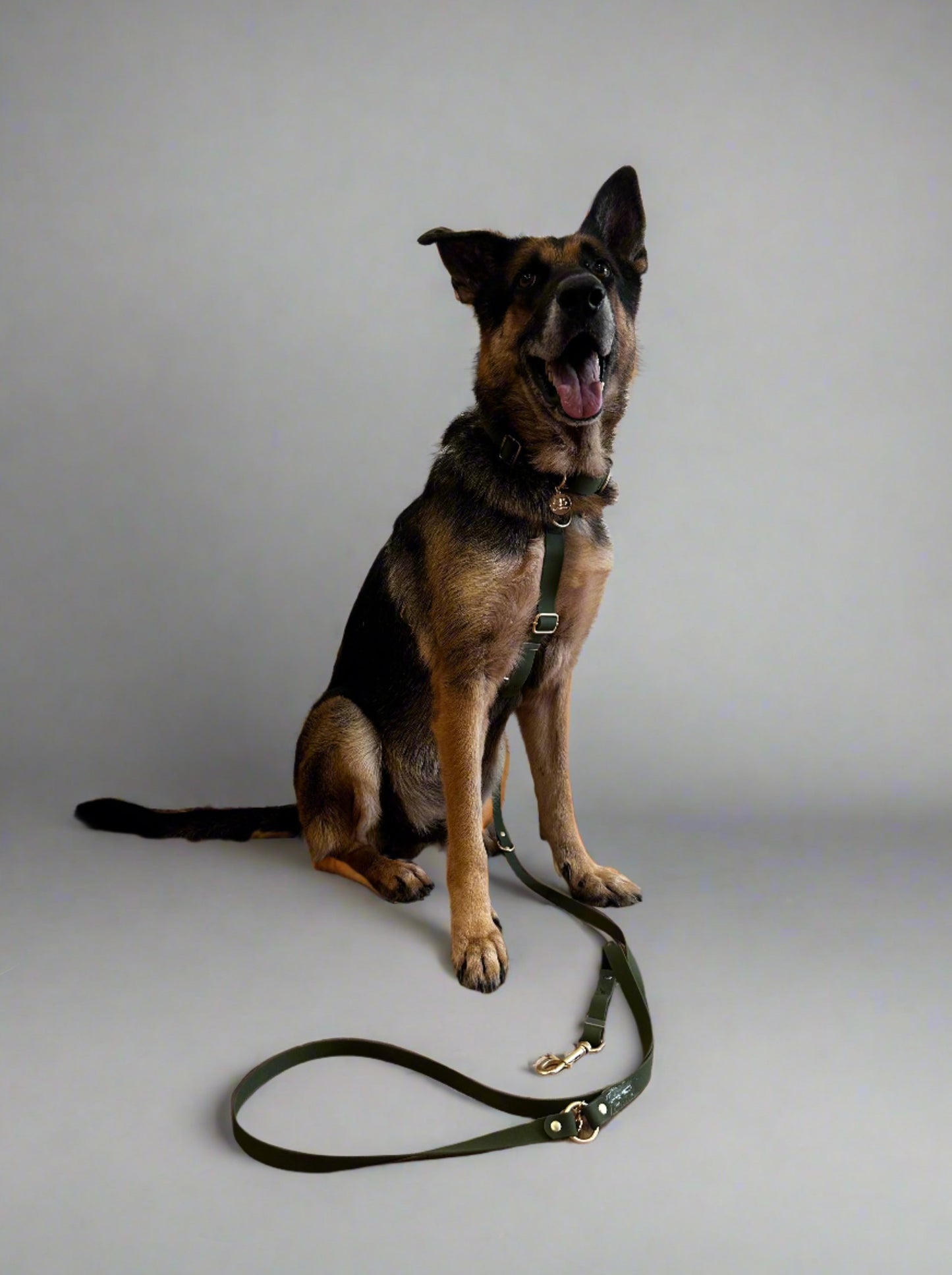 Oceane Waterproof Multiway Leash - Khaki Green