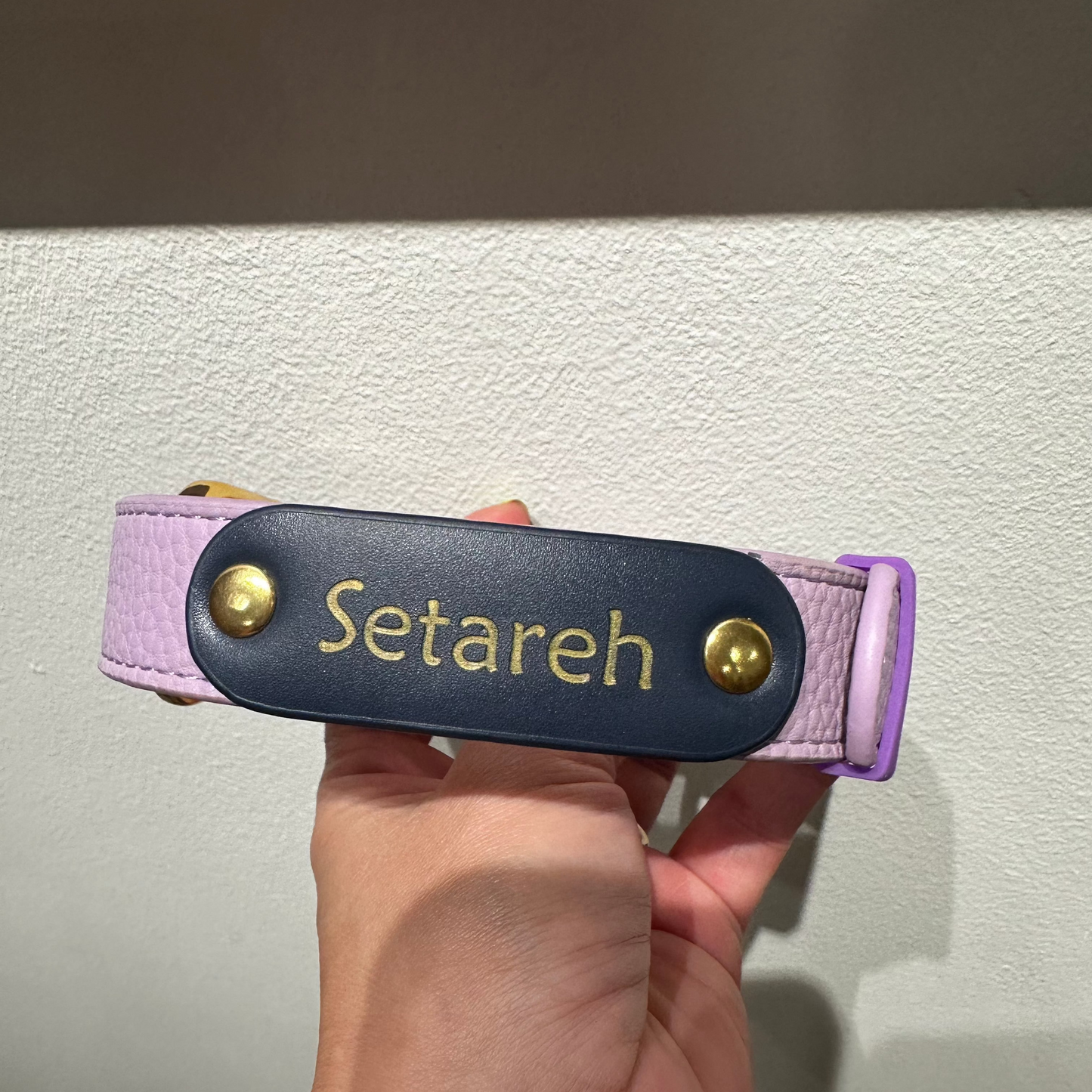 Zuri Faux Leather Cat/Dog Collar in Lavender