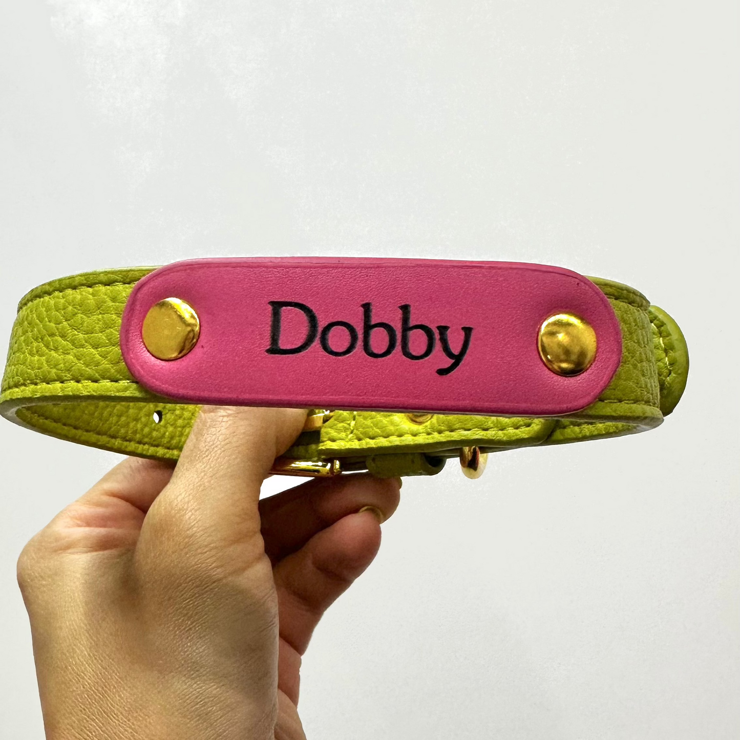 Zuri Faux Leather Cat/Dog Collar in Lime Green