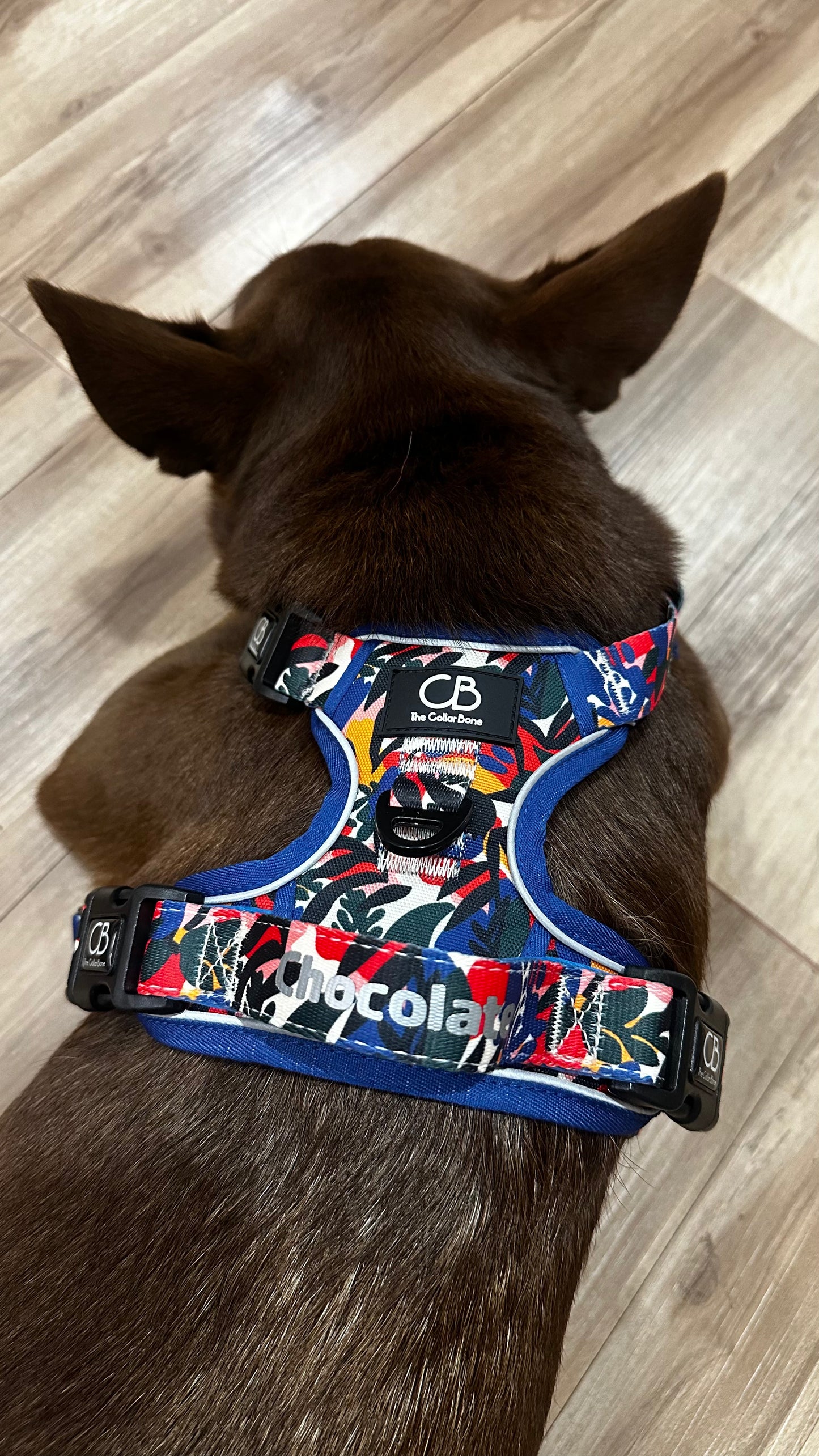Oxford Active No-Pull Harness in Mirage