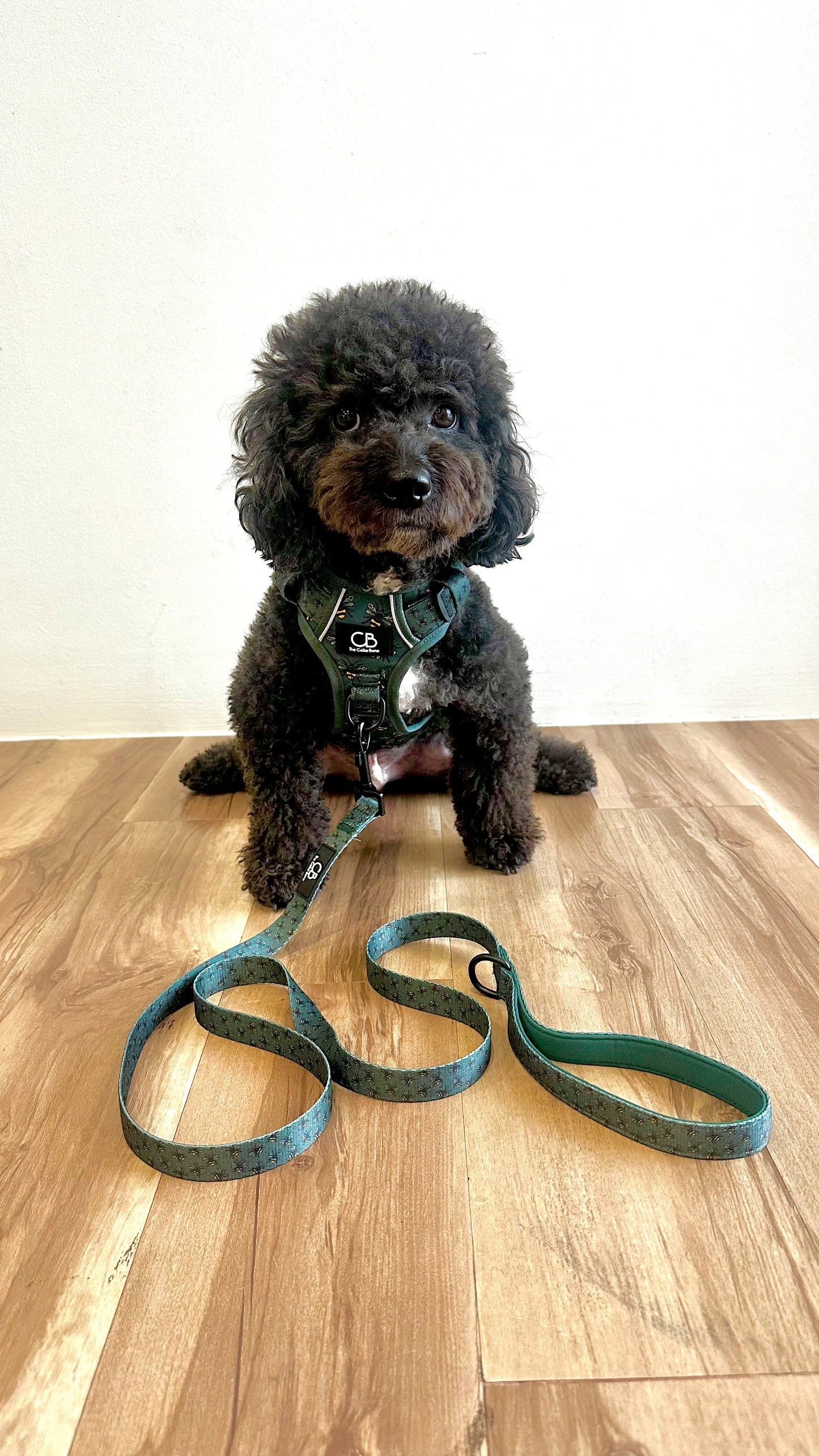 Oxford Active No-Pull Harness in Forest Bee
