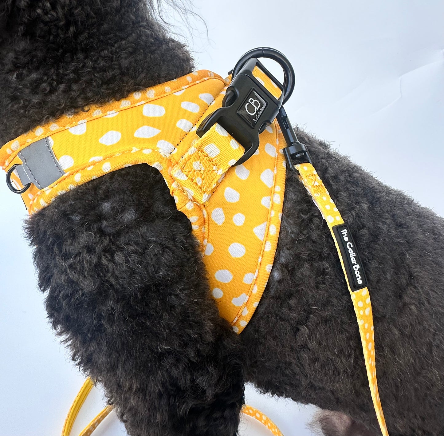 Teeny back-to-basic Leash in Mustard & Mayo