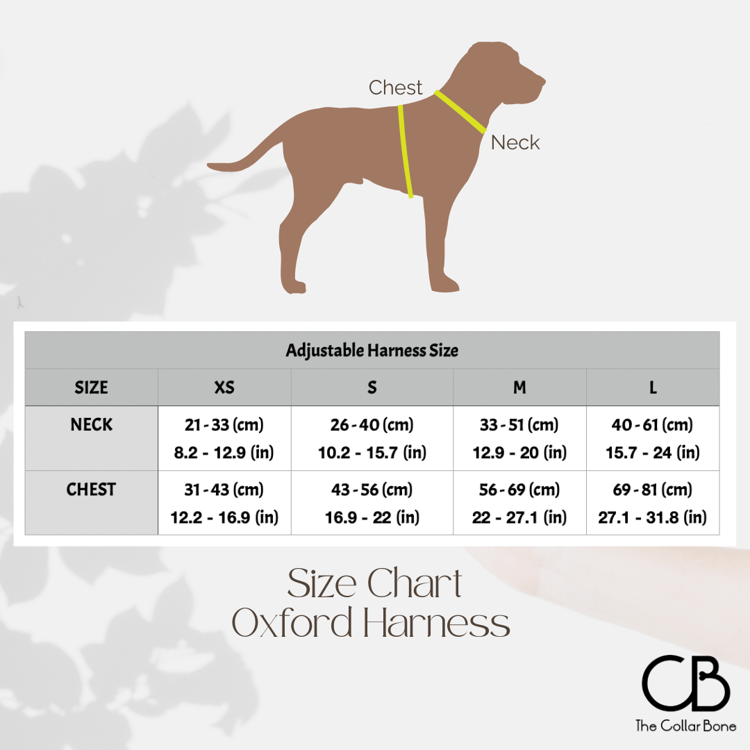 Oxford Active No-Pull Harness in Lavender Haze