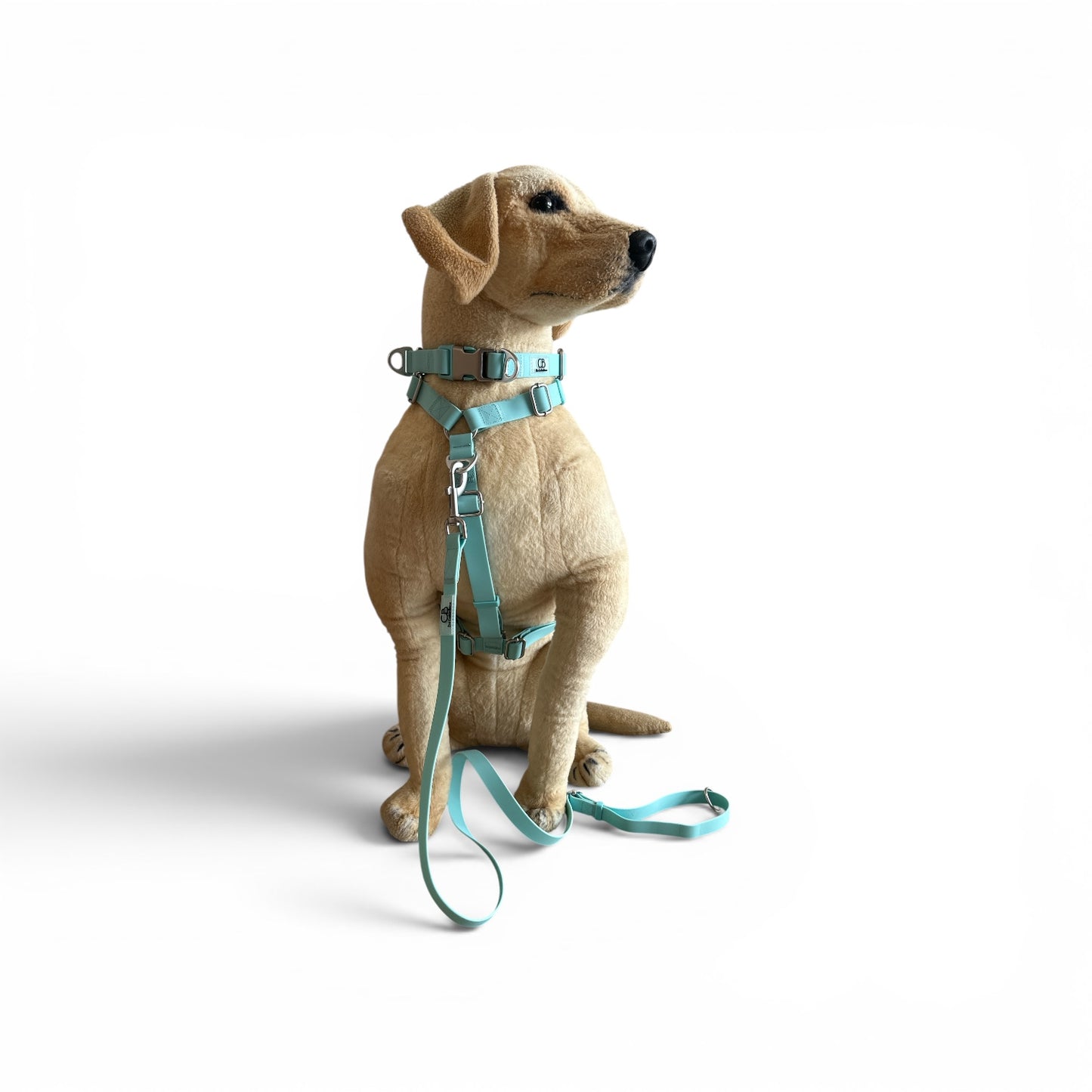 Oceane 2.0 2-in-1 Waterproof Martingale Collar in Tiffany's Afterglow (Glow-in-the-Dark Blue)