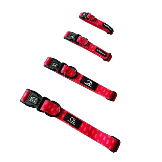 Halston Adjustable Pet Collar in Raspberry Red