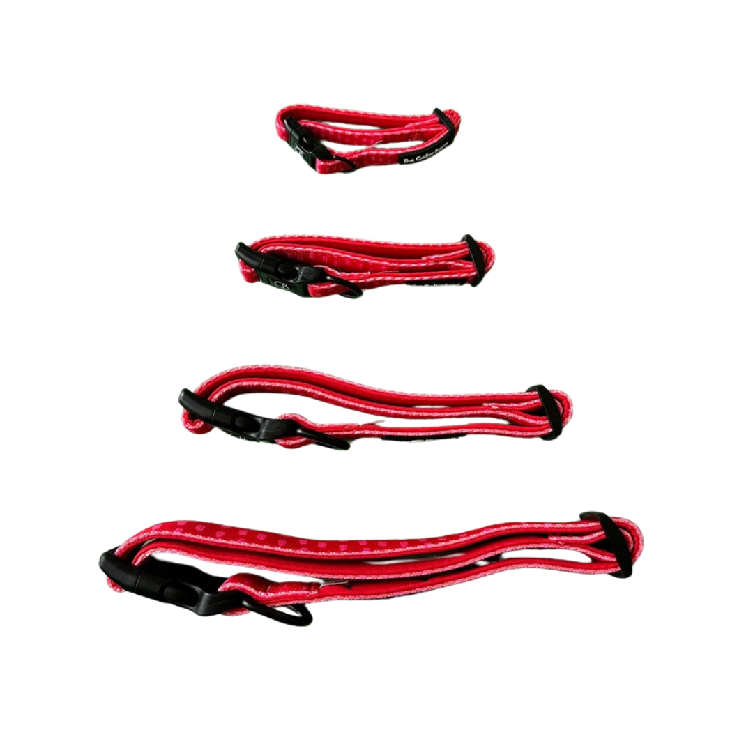 Halston Adjustable Pet Collar in Raspberry Red