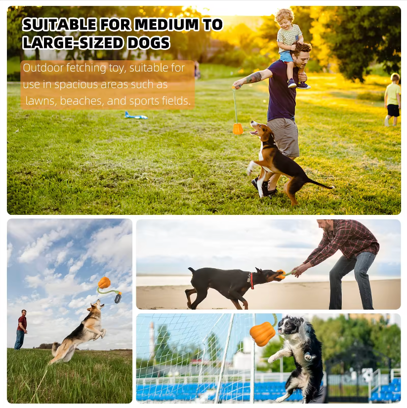 Outdoor Fetch Pumpkin Pet Toy