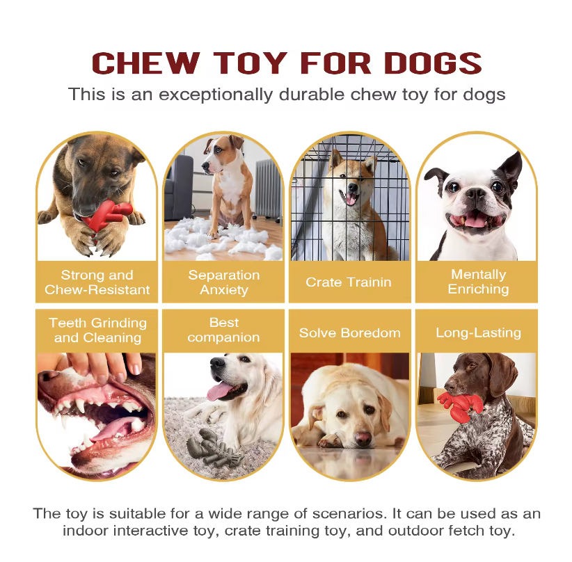 Boston Lobster Nylon and Coffee Chew Toy