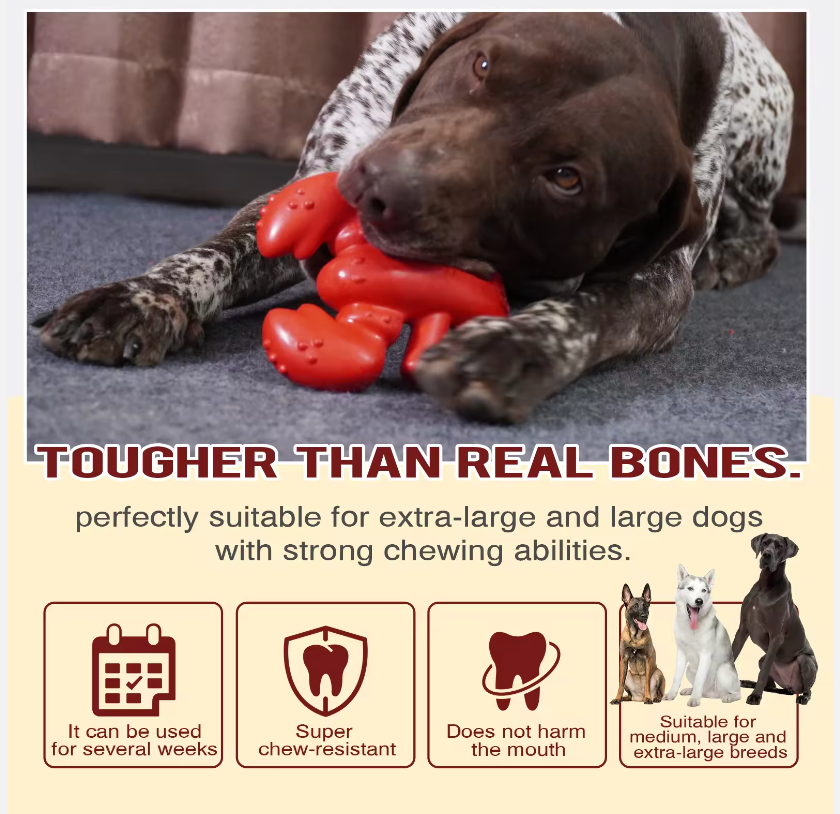 Boston Lobster Nylon and Coffee Chew Toy