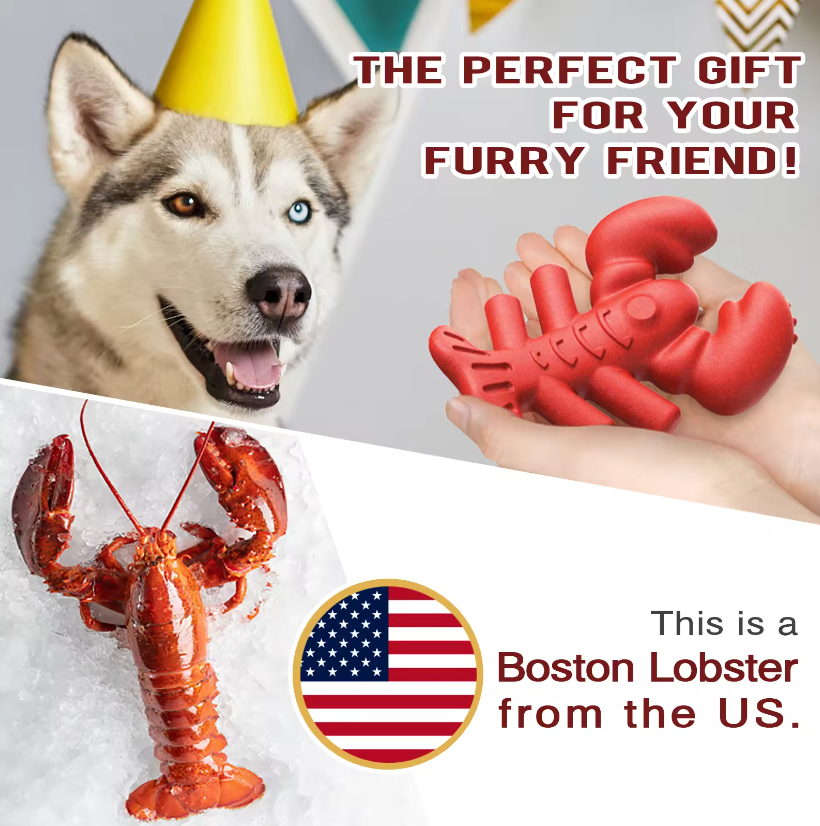 Boston Lobster Nylon and Coffee Chew Toy