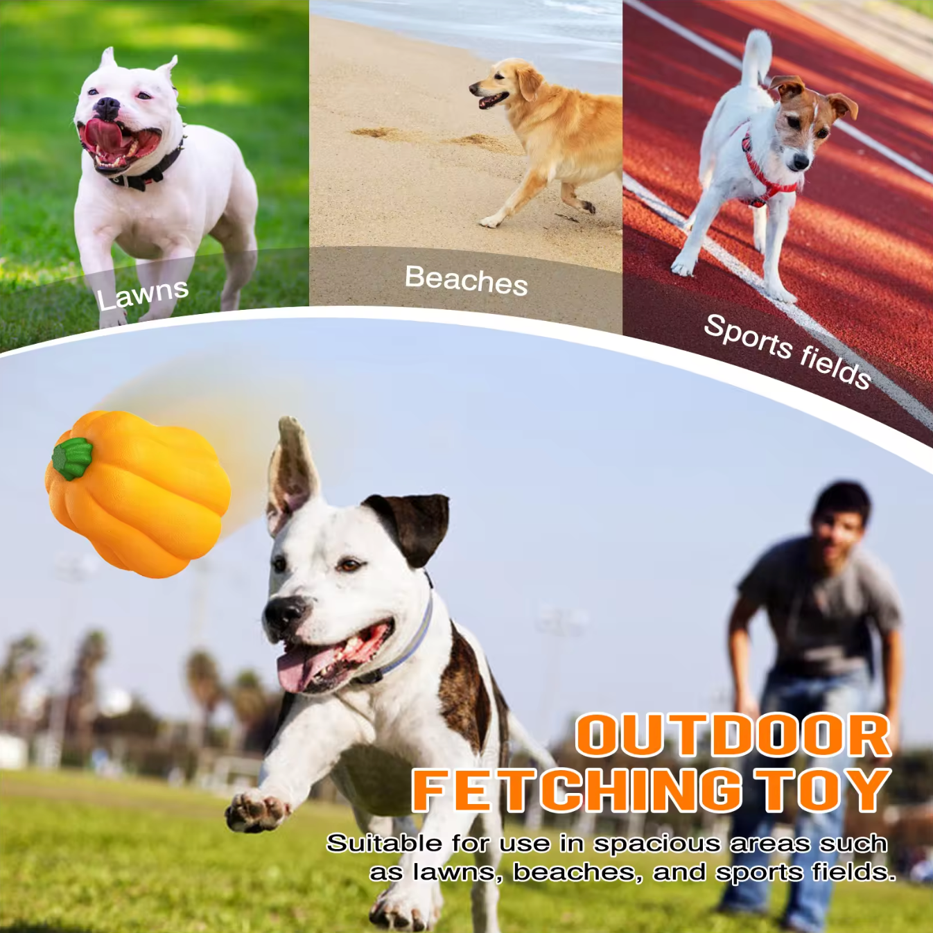 Pumpkin TPR Rubber Chew Toy