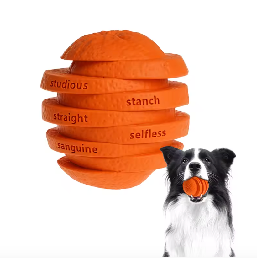 Super S Citrus Interactive Food Dispenser TPR Rubber Chew Toy