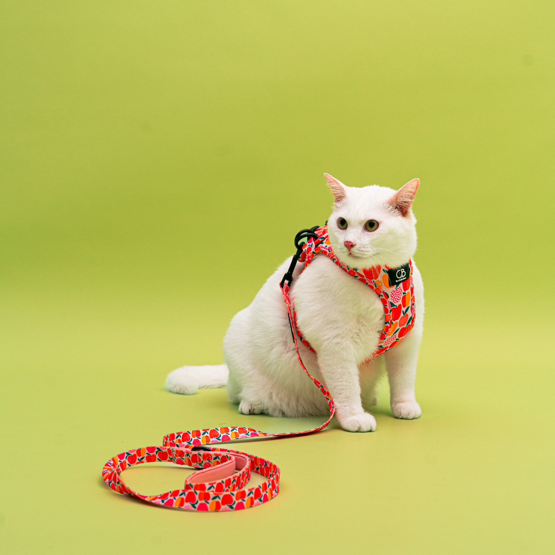 Teeny Step-In Vest/Harness in Apple of My Eye