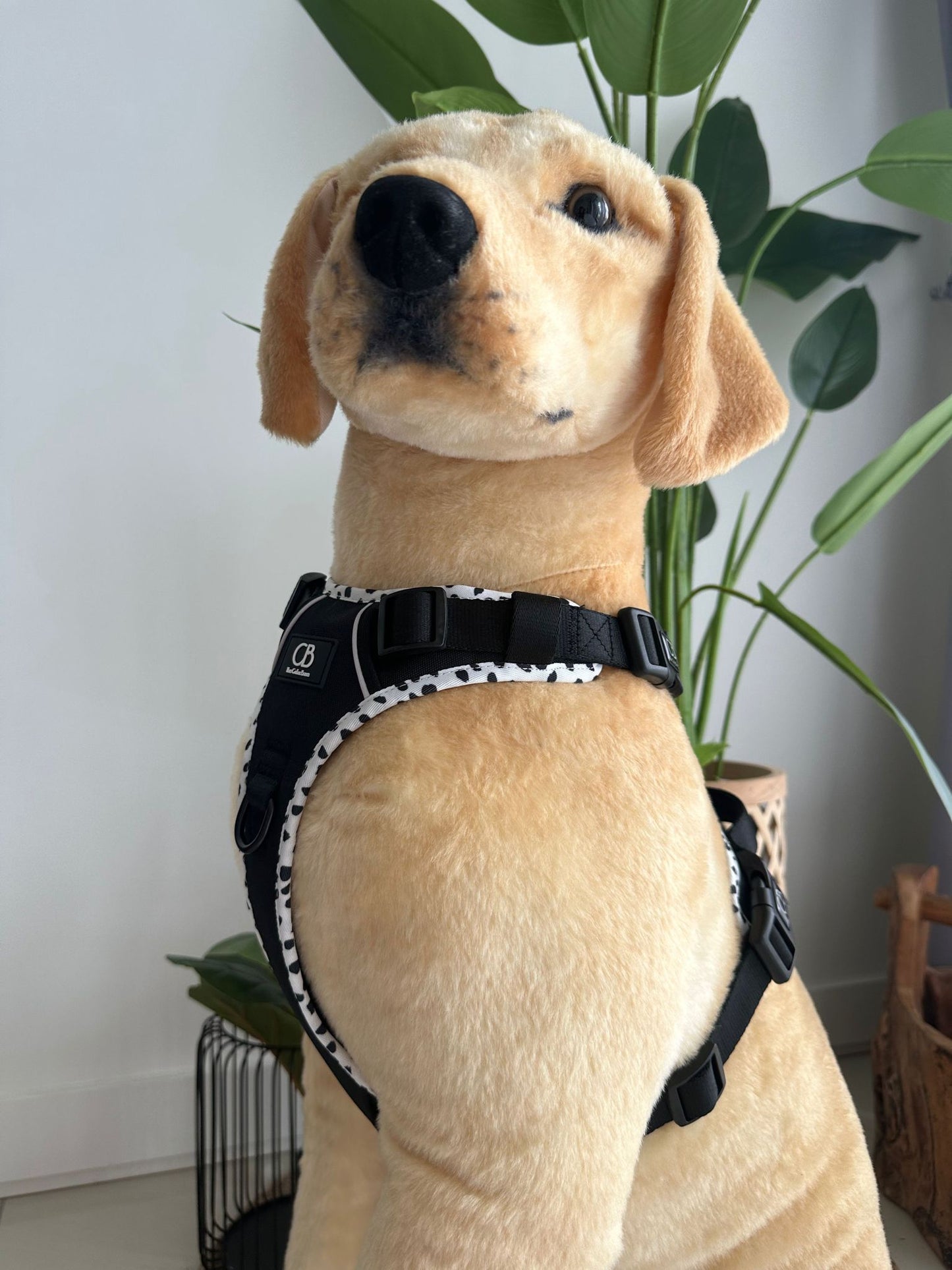 Oxford Active No-Pull Harness in Back in Black