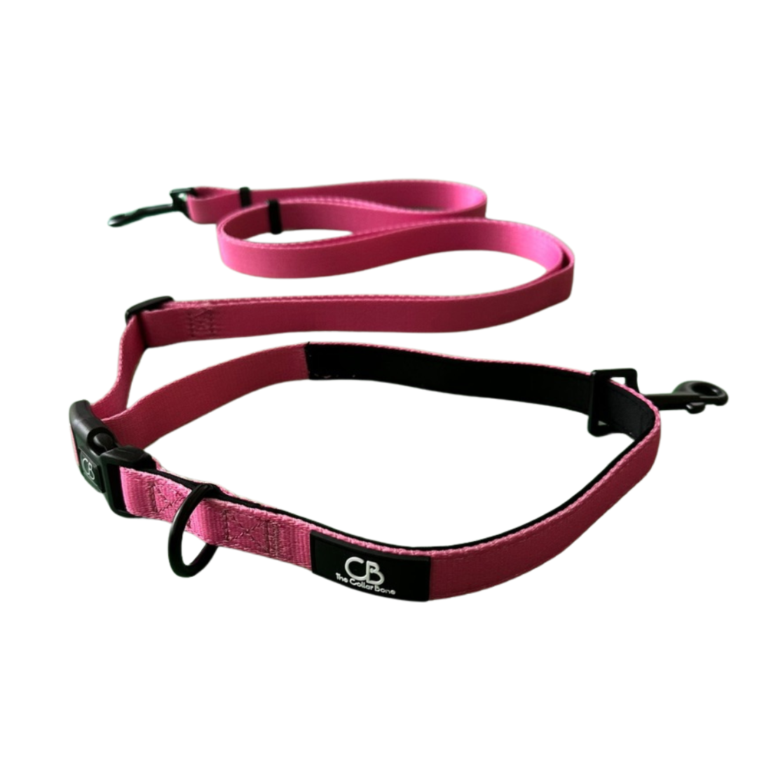 Oxford Multiway Handsfree Leash in Metamorphosis Summer Pink