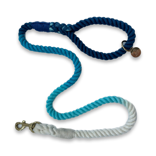Koko Rope Leash in Ombré Blue & White