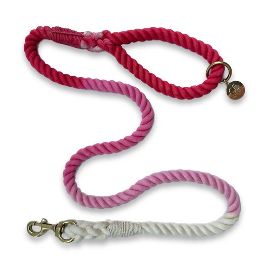 Koko Rope Leash in Ombré Pink & White