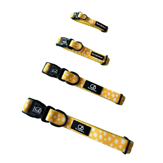 Halston Adjustable Pet Collar in Mustard & Mayo