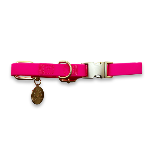 Oceane Waterproof Martingale Collar in Neon Pink
