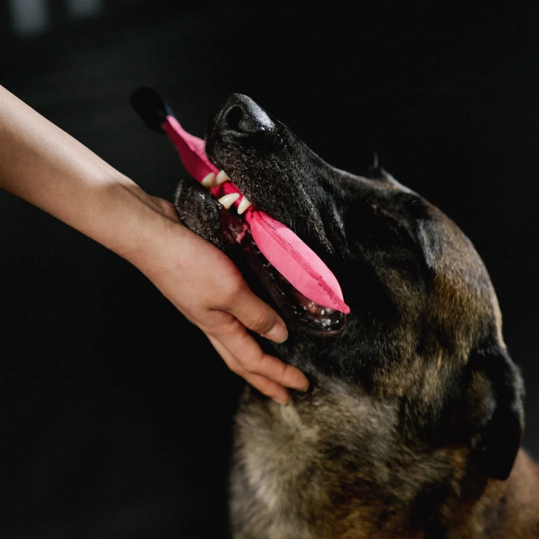 Maxer Stick Tug (Pink)