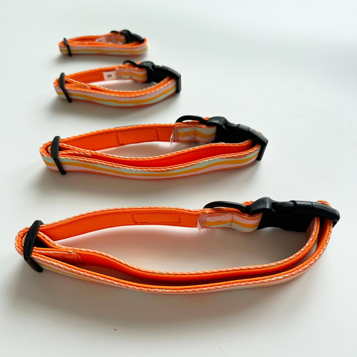 Halston Adjustable Pet Collar in Sun Beam