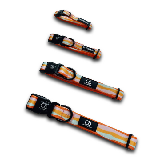 Halston Adjustable Pet Collar in Sun Beam