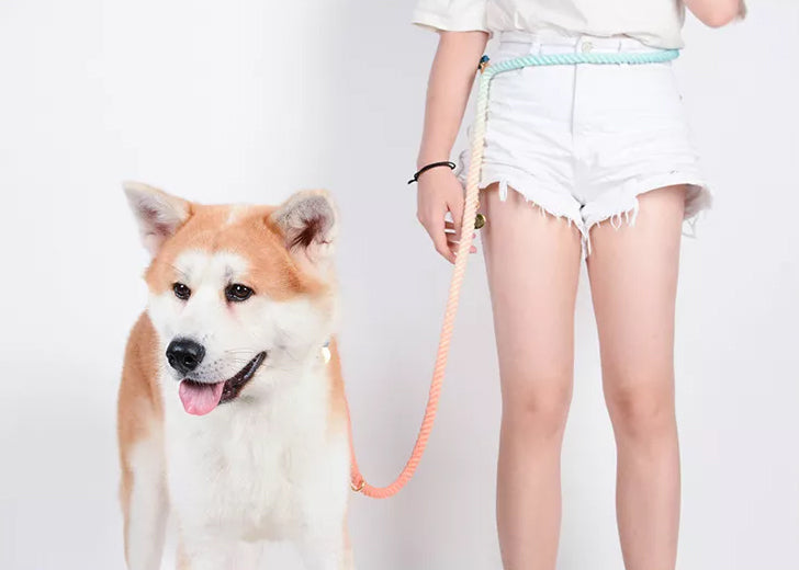 Multiway Handsfree Training Rope Leash in Bubblegum Yellow and White