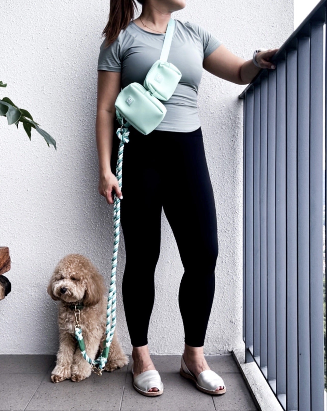 Everyday dog walking pouch in Mint Green