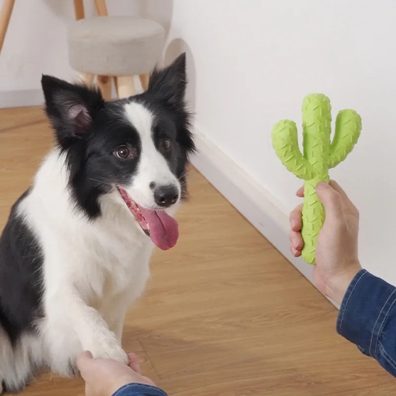 Cactus-shaped TPR Rubber Chew Toy