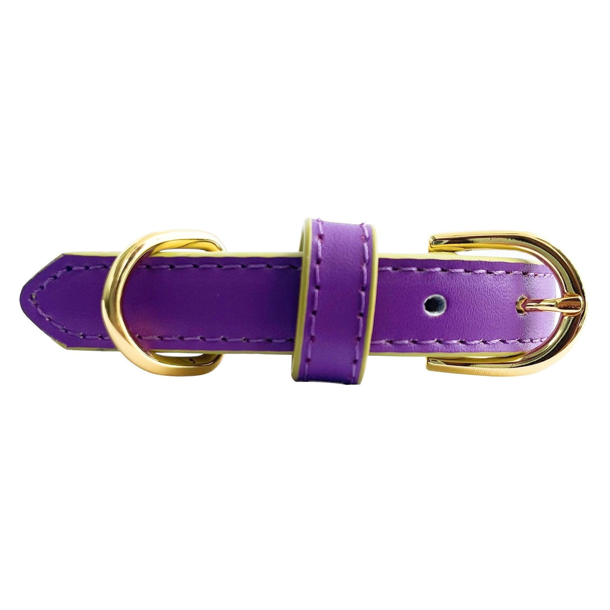 Anthea Dog Collar in Purple with Yellow Trimmings