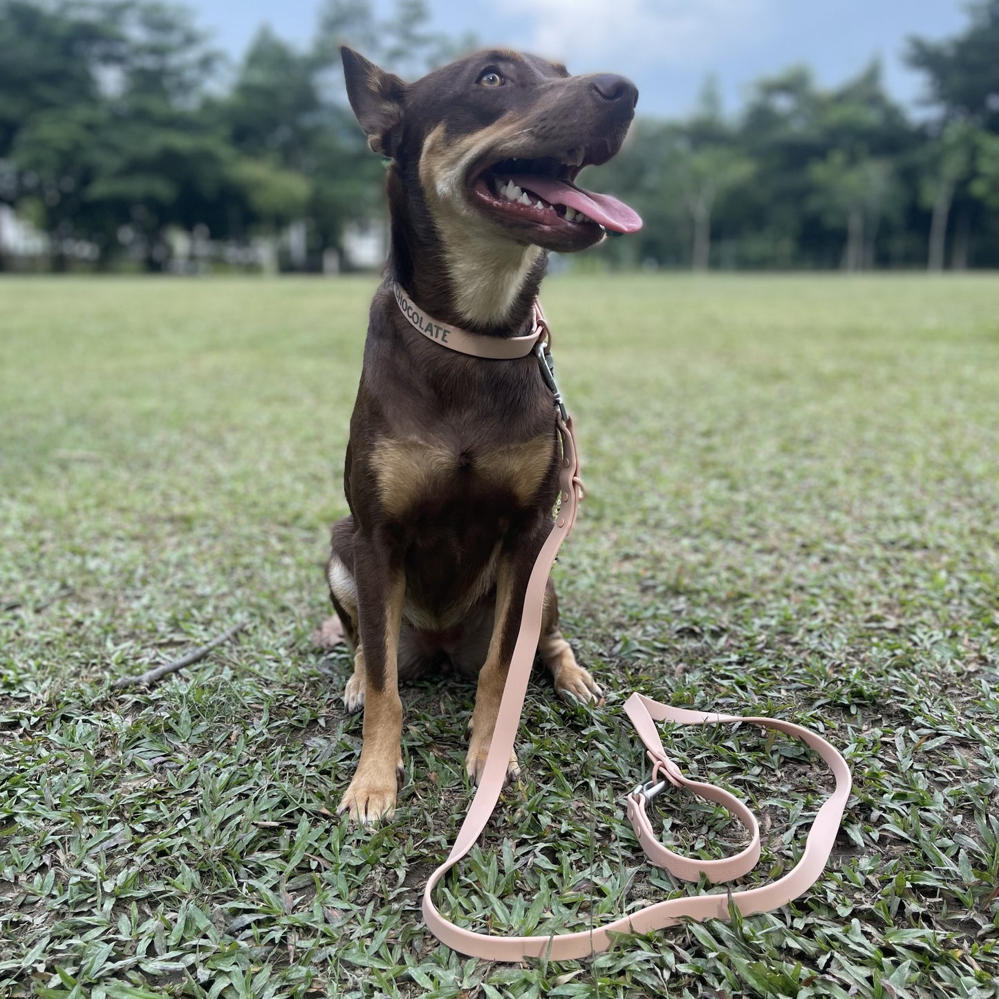 Kanoé Waterproof Dog Leash in Butter