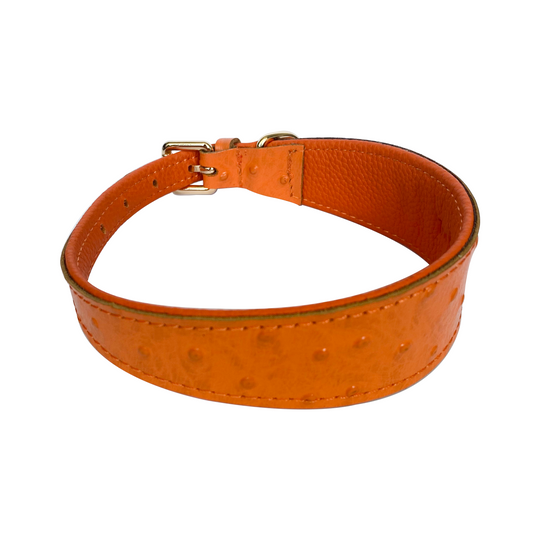 Harper Wide Leather Dog Collar in Burnt Orange