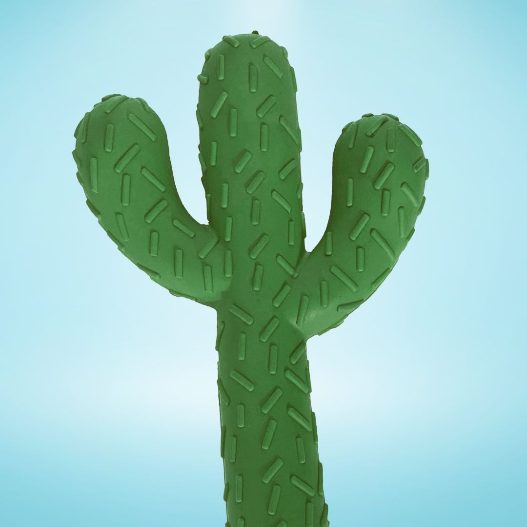 Cactus-shaped TPR Rubber Chew Toy