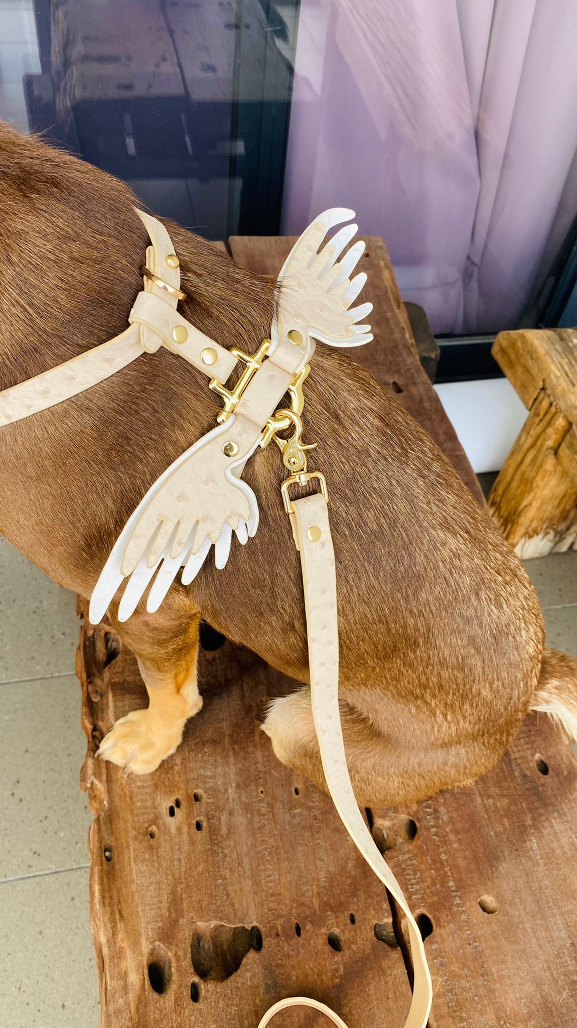 Gabriel's Wings Harness and Leash set in Sand + Snow (Ostrich texture)