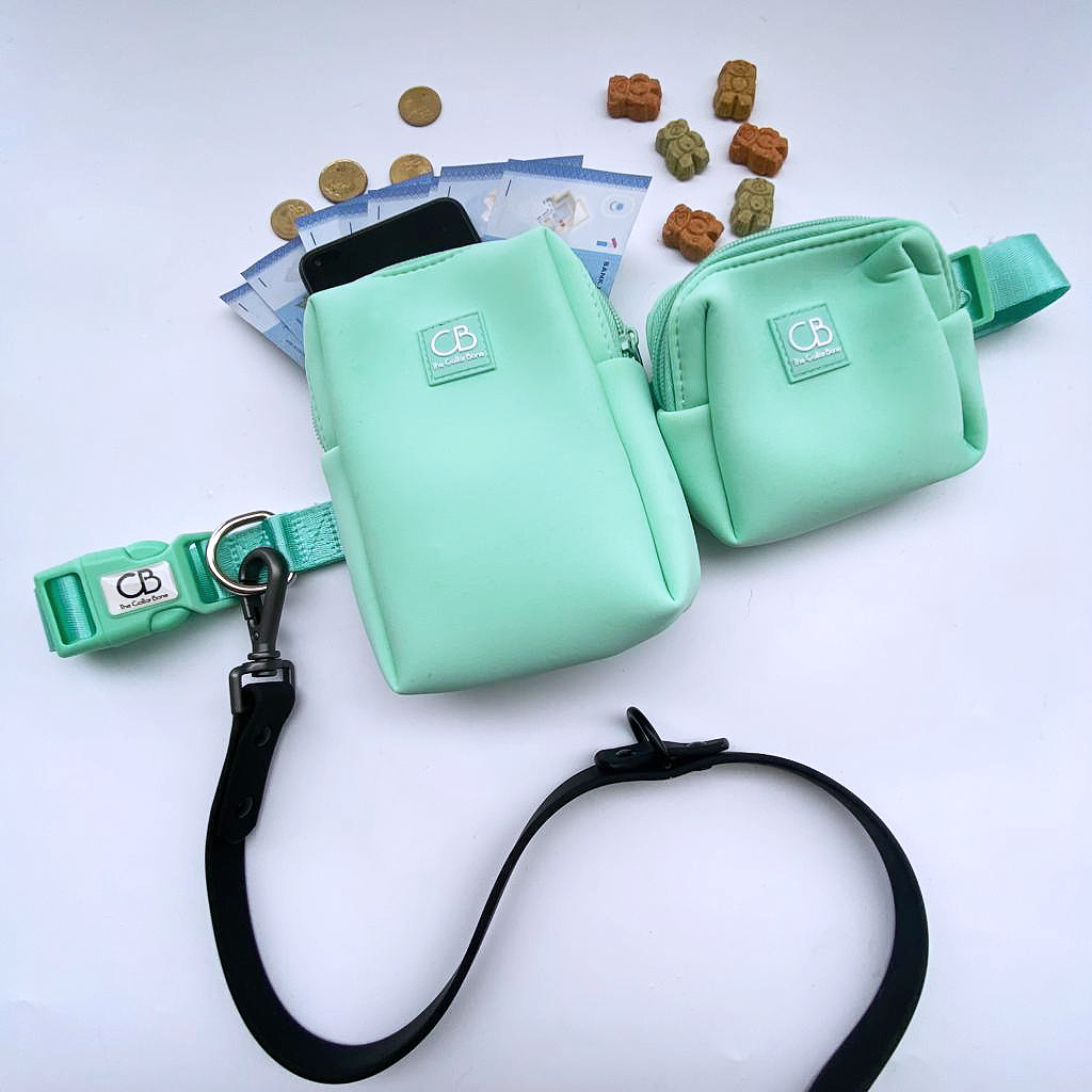 Everyday dog walking pouch in Mint Green