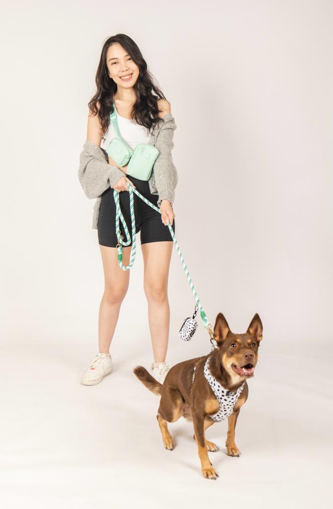Everyday dog walking pouch in Mint Green