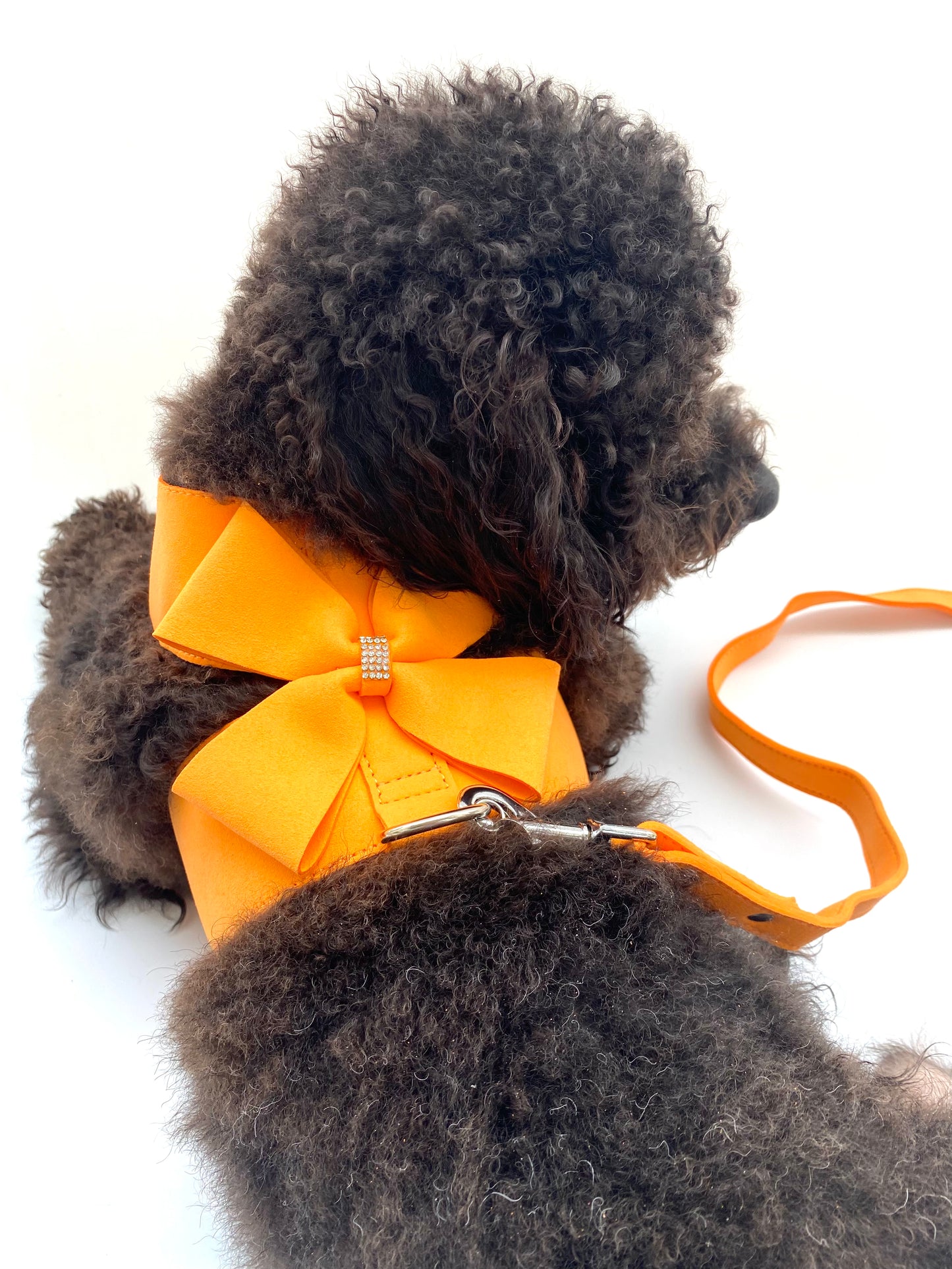 Crystal Cat/Dog Harness and Leash Set in Orange