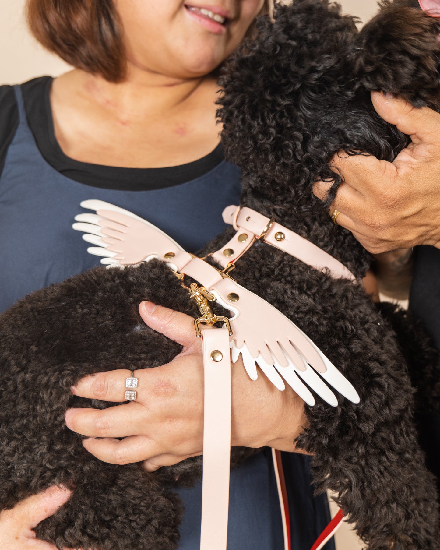 Gabriel's Wings Harness and Leash set in Cloud Pink + Snow White (Smooth)